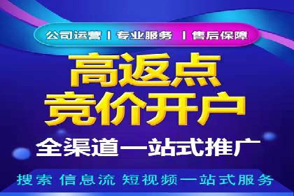 百度推广成功案例：打造行业领军品牌之路